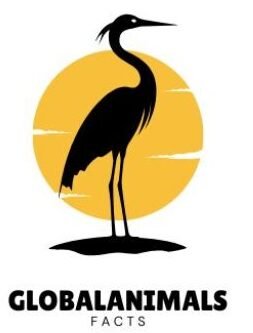 Globalanimalsfacts.com