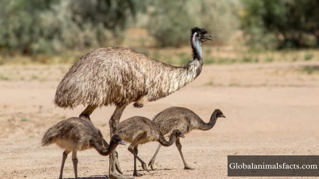 animals with long necks in the world