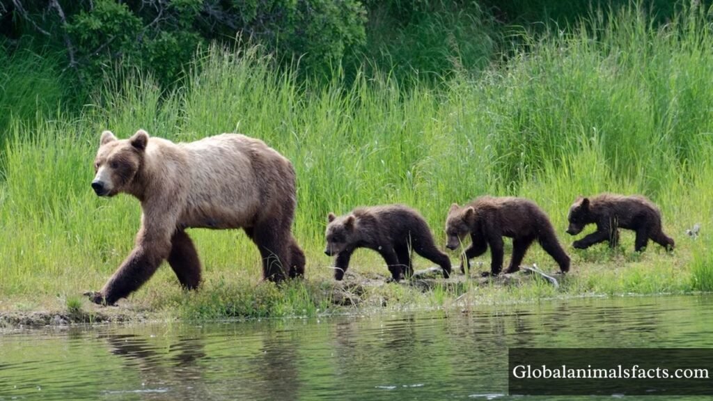 animals known for being mischievous
