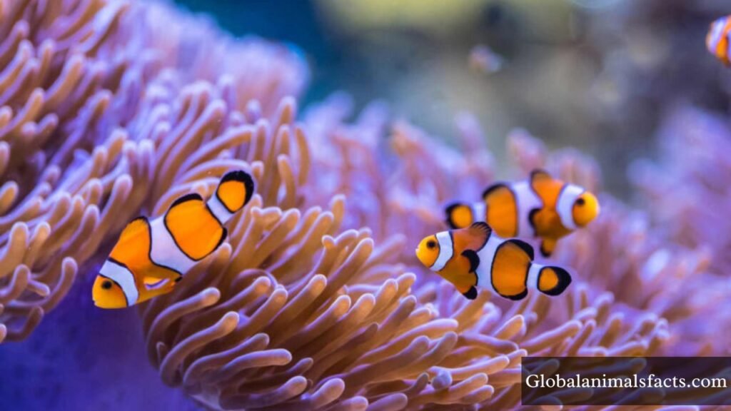 slowest moving animal