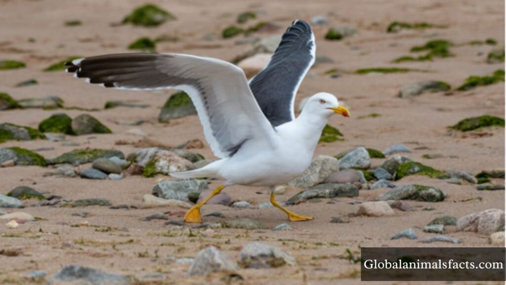 mischievous animals list