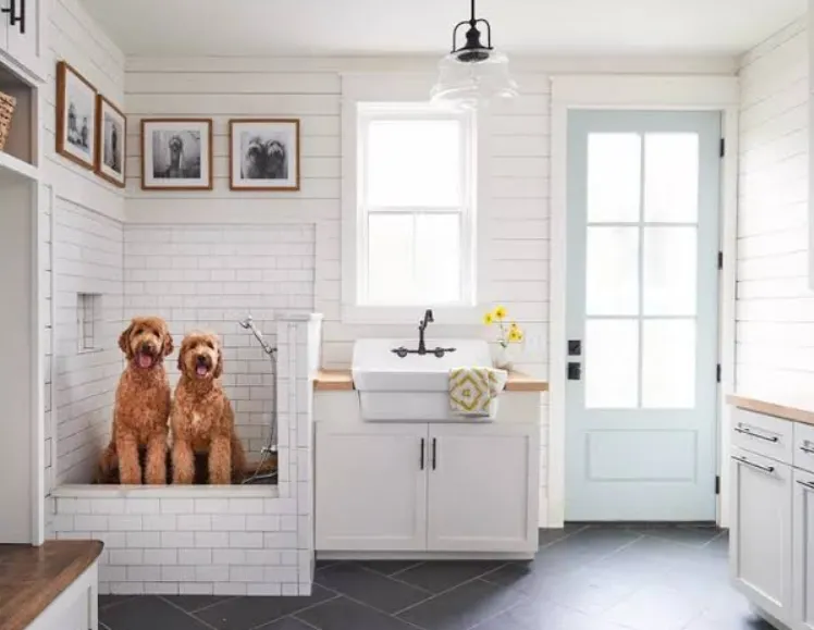 How to Design a Pet-Friendly Kitchen Without Sacrificing Style